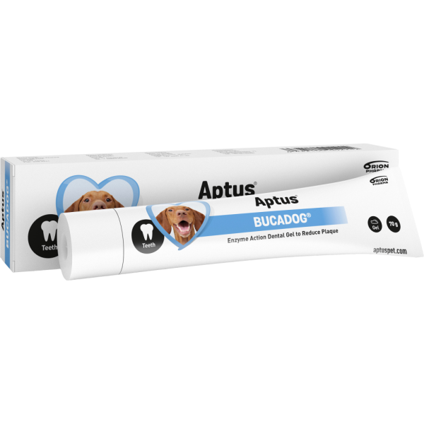 Aptus Bucadog vet hammasgeeli 70 g